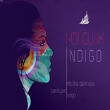 Artwork for "Indigo"