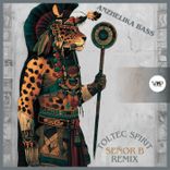 Artwork for "Toltec Spirit"