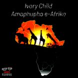 Artwork für "Amaphupho E-Afrika"
