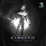 Artwork for "Carnatic"