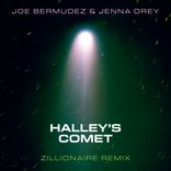 Halley's Comet
