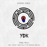 Artwork für "Ydk"
