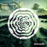 Artwork voor "Pelican Rapids"