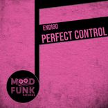 Artwork for "Perfect Control"