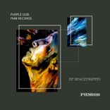 Artwork for "Spacetrippin"