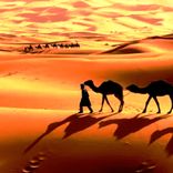 Artwork for "The Anthem"