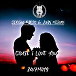 Artwork for "Cause I Love"