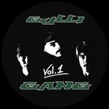 Artwork voor "Gulli Gang, Vol. 1"