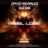 Portada para "I Feel Love"