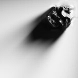 Artwork für "Chrome II"