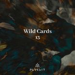 Artwork for "Wild Cards 13"
