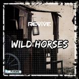 Artwork für "Wild Horses"
