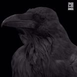 Artwork for "Cor Impetum, Pt. 1"