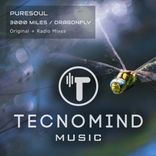 Artwork for "3000 Miles / Dragonfly"