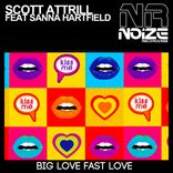 Artwork voor "Big Love Fast Love"