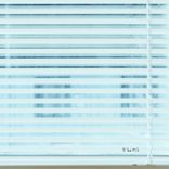 A New Species Of Cosmonauts