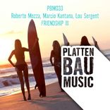 Portada para "Friendship III"