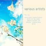 Artwork voor "Various Artists"