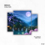 Artwork for "Evolution"