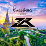 Artwork voor "Experience"