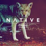 Artwork voor "Double X"