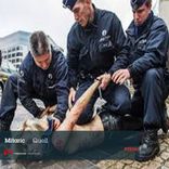 Portada para "Quell"