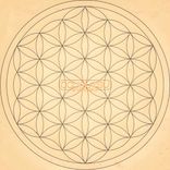 Artwork for "Stay Vision"