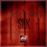 Artwork for "Silk"