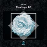 Artwork for "Findings"