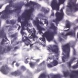 Artwork for "onda dois ventos"