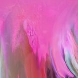 Artwork for "Tiger Pond Wadl"