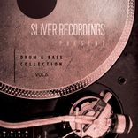 Artwork for "SLiVER Recordings: Drum & Bass Collection, Vol. 6"
