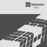 Portada para "Flashing Lights"