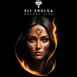 Artwork voor "Desert Fire"