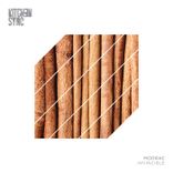 Artwork for "Invincible"