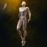 Between Here and Wherever You Go