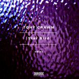 Artwork for "Star Bird"