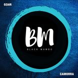 Portada para "Camorra"