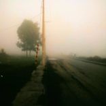 Fireflies in the Valley