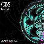 Portada para "Ritmodelo"