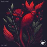 Artwork for "Colibri"