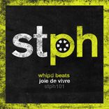 Artwork voor "Joie de Vivre"