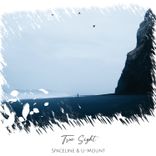 Artwork for "True Sight (Radio Edit)"