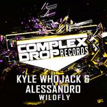 Artwork voor "Wildfly"