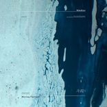 Artwork for "Moving Forward"