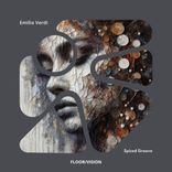 Artwork for "Spiced Groove"