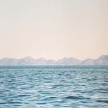 Artwork for "Movements (Inshore)"