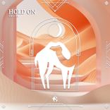 Artwork voor "Hold On"