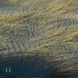 Artwork voor "Echoes"