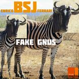 Artwork für "Fake Gnus"